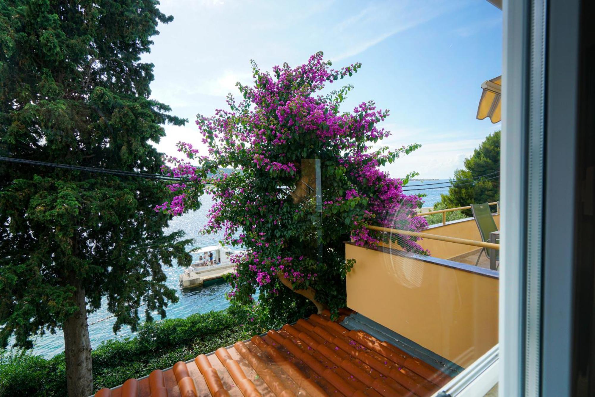 Apartments Osljak Преко Экстерьер фото