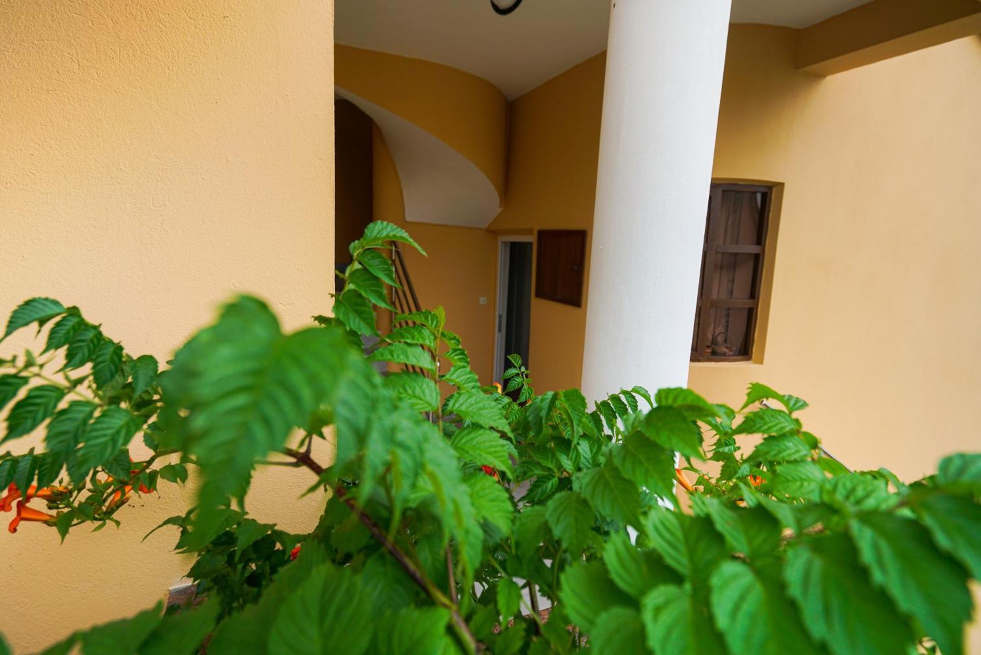 Apartments Osljak Преко Экстерьер фото